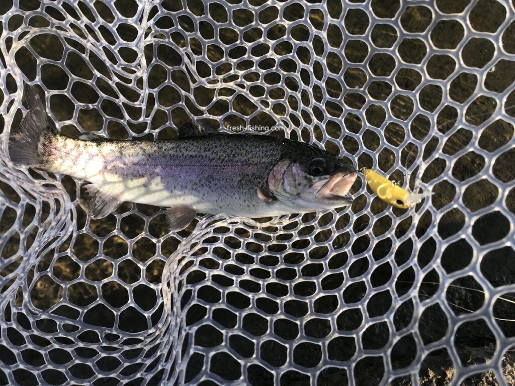 北方マス釣り場