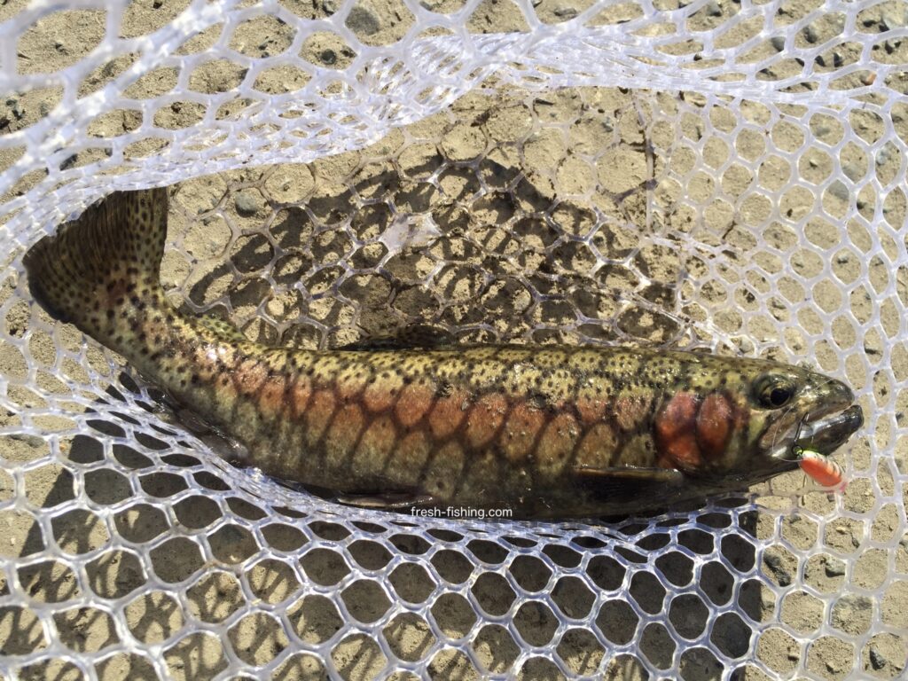 月見ヶ原フィッシングセンター