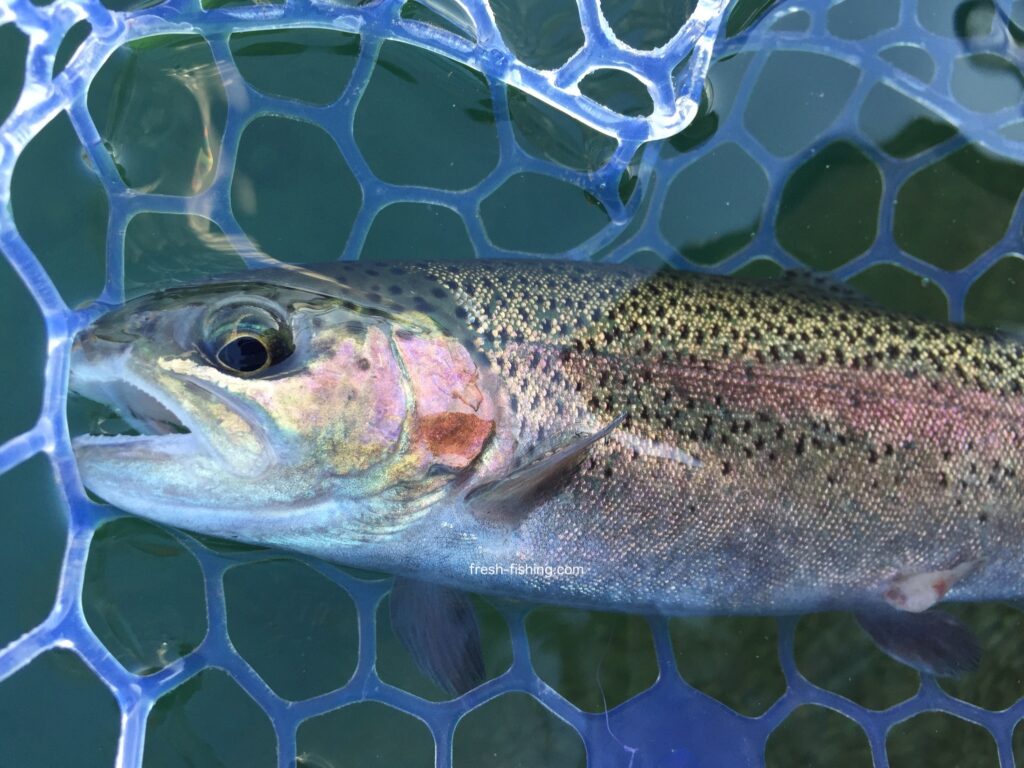 月見ヶ原フィッシングセンター