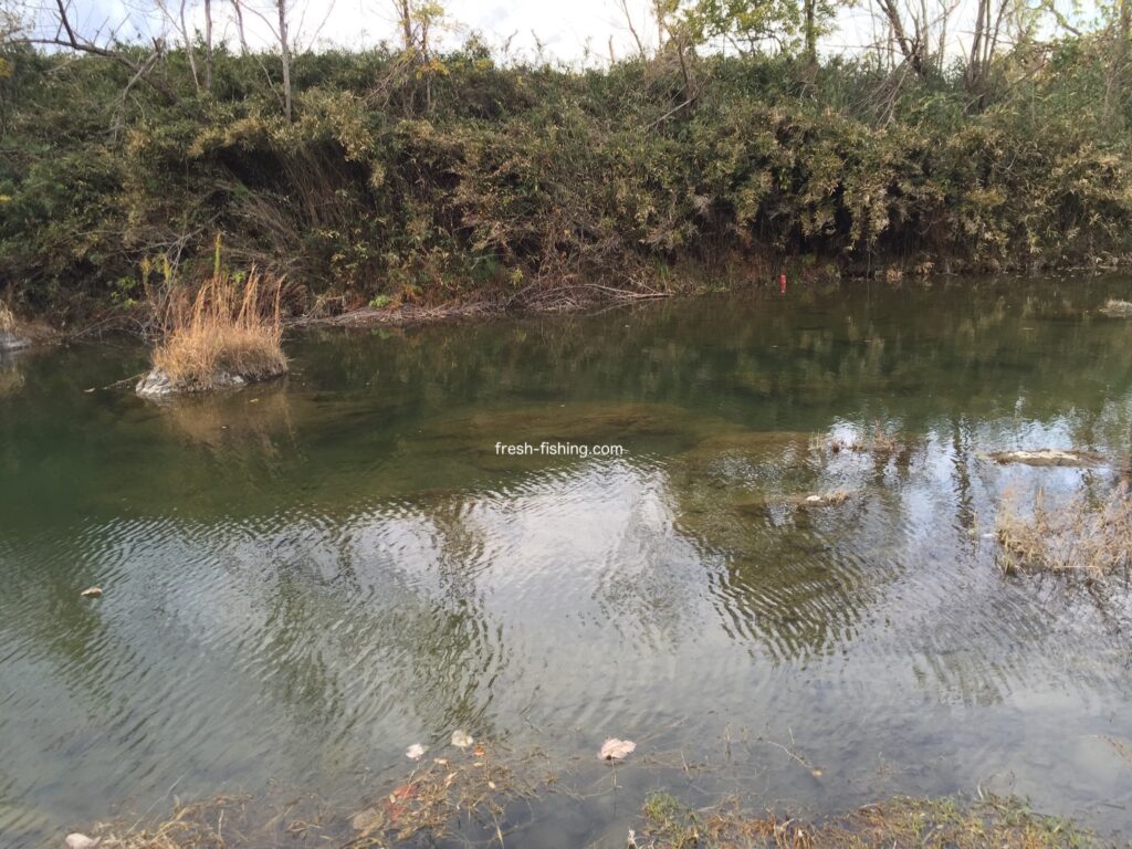 日本ライン鱒釣場