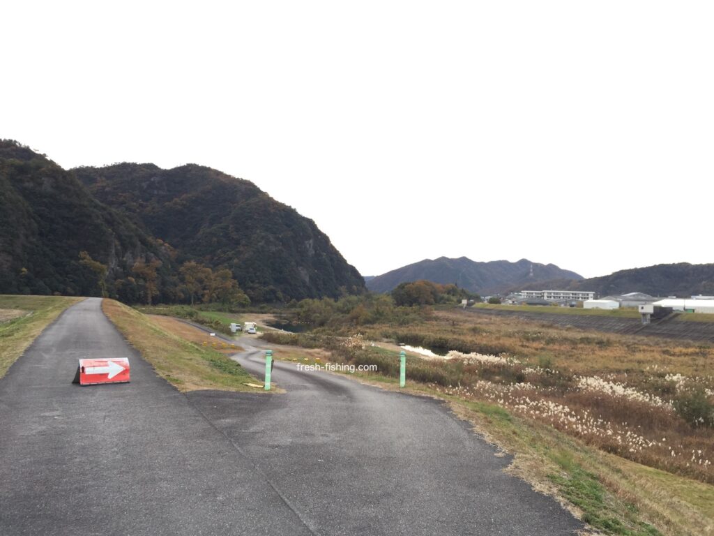 日本ライン鱒釣場