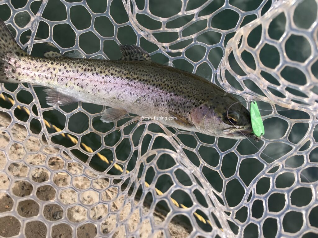 月見ヶ原フィッシングセンター