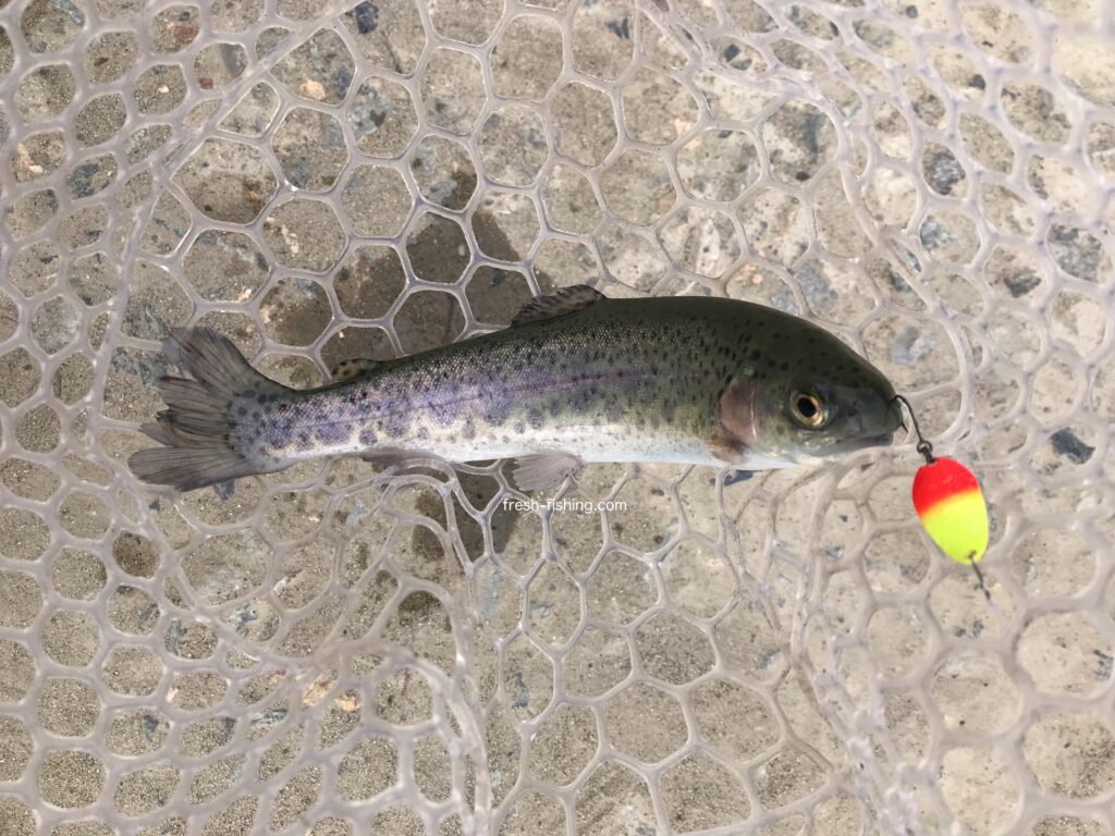 月見ヶ原フィッシングセンター