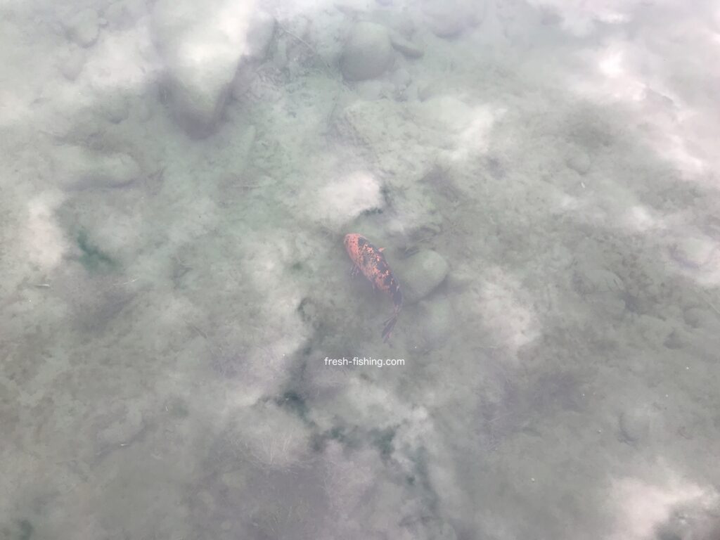 月見ヶ原フィッシングセンター