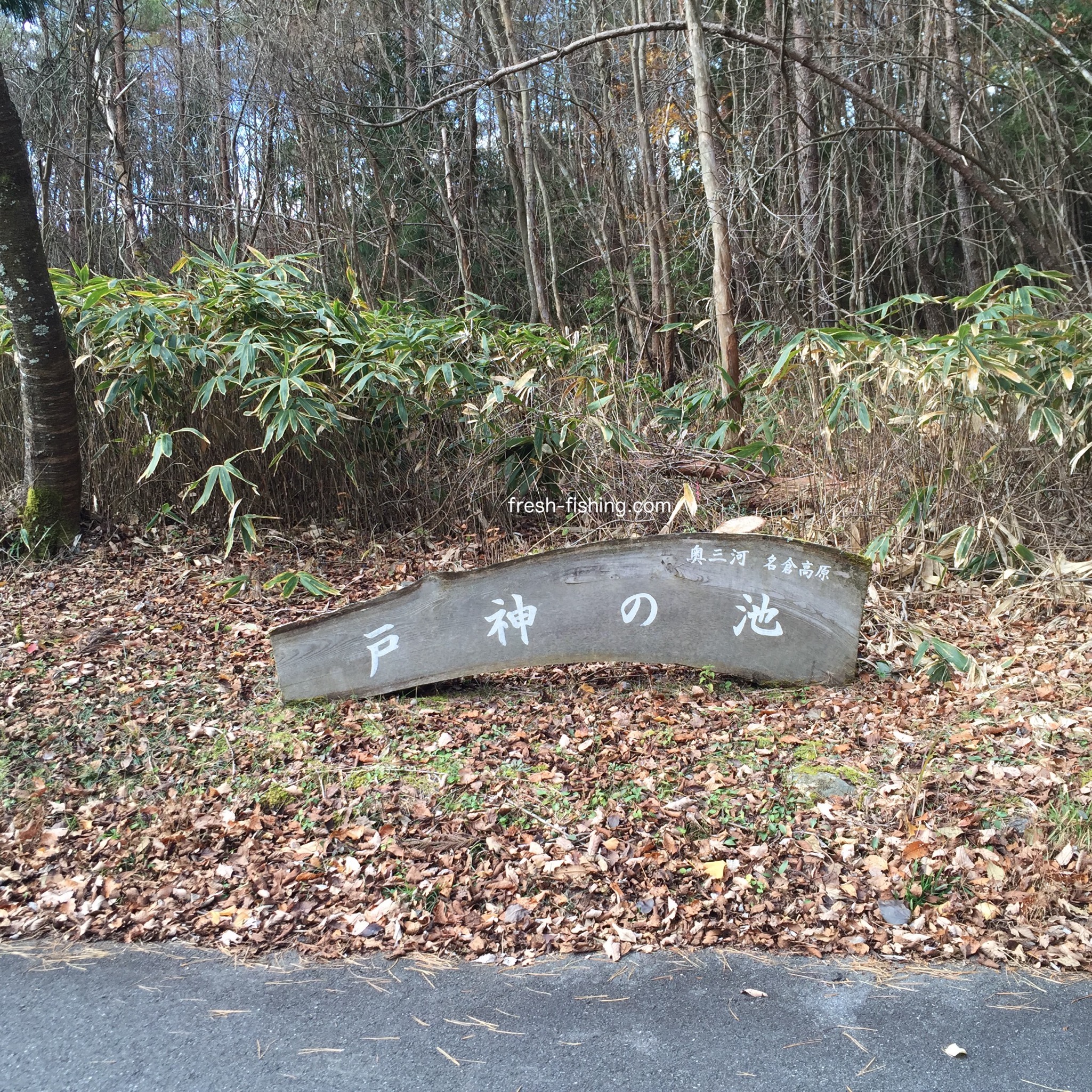 戸神の池