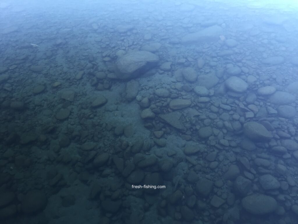 月見ヶ原フィッシングセンター