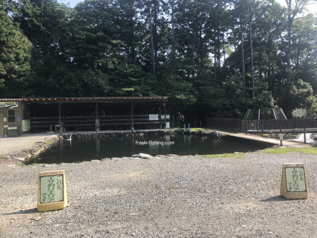 サンクチュアリ