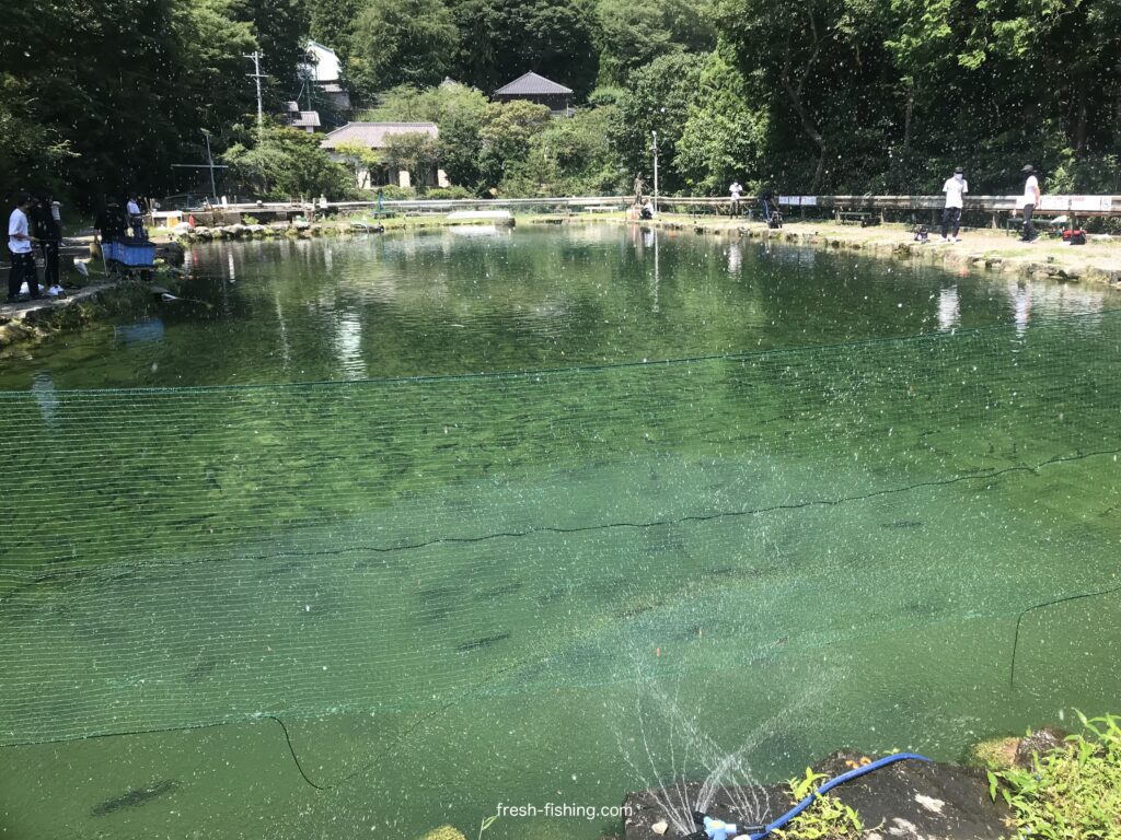 サンクチュアリ