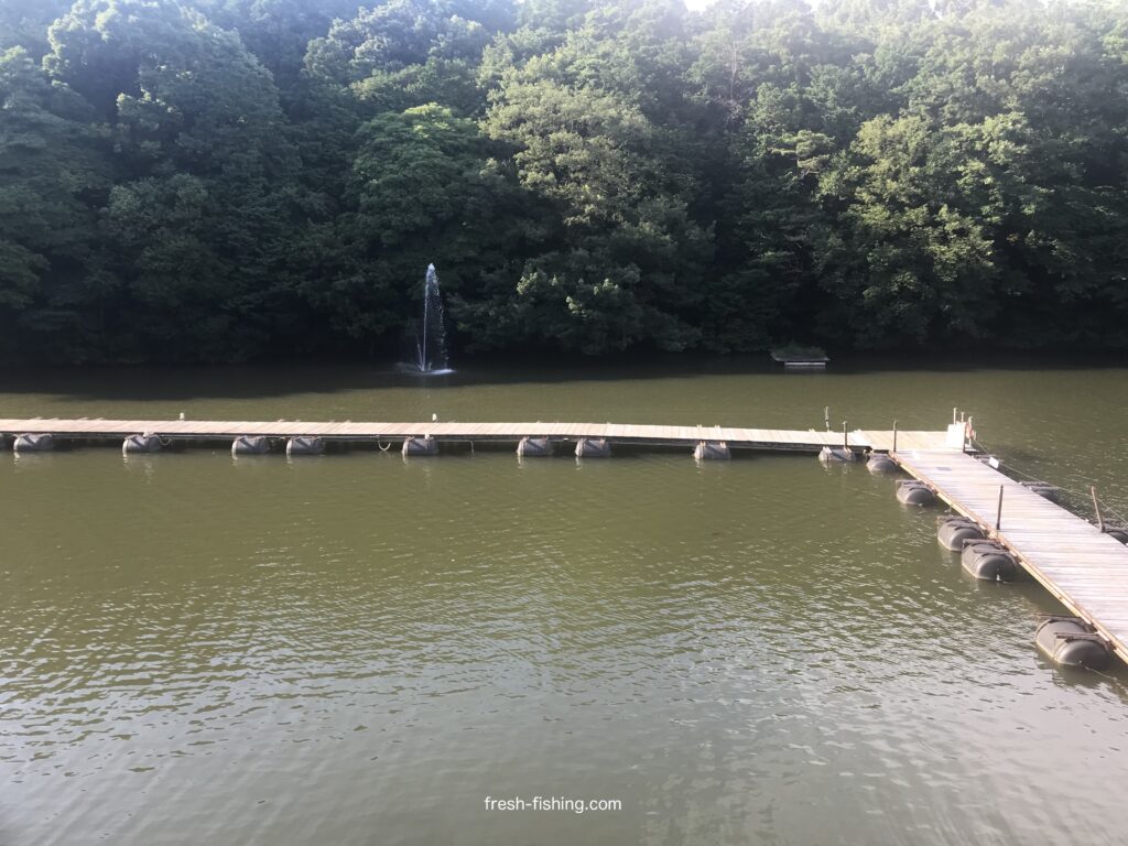 サンクチュアリ