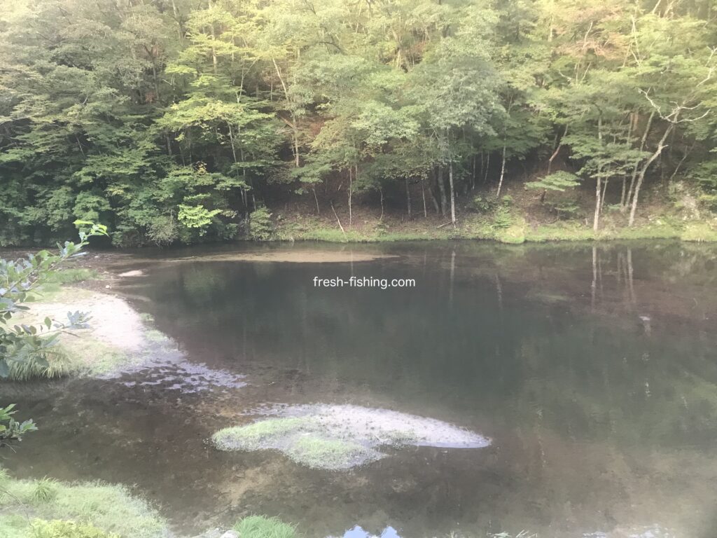 神越渓谷マス釣り場